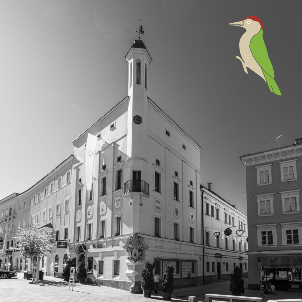 Rathaus-Ried