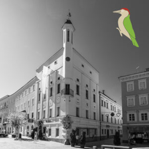 Rathaus-Ried