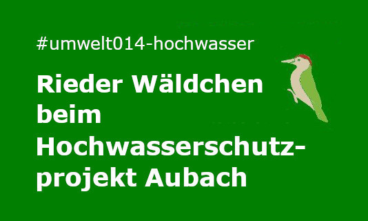 Hochwasserschutzprojekt-Aubach