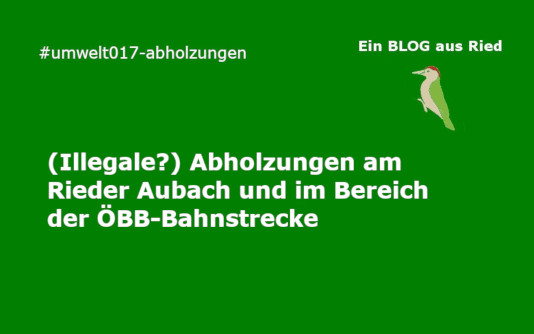 Abholzungen Aubach